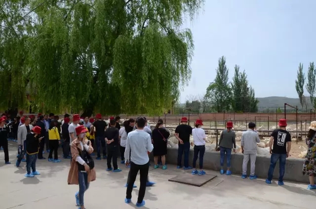 NG28南宫(中国)官方网站
