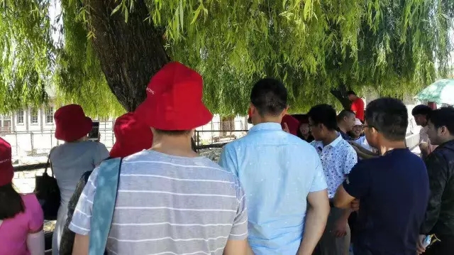 NG28南宫(中国)官方网站
