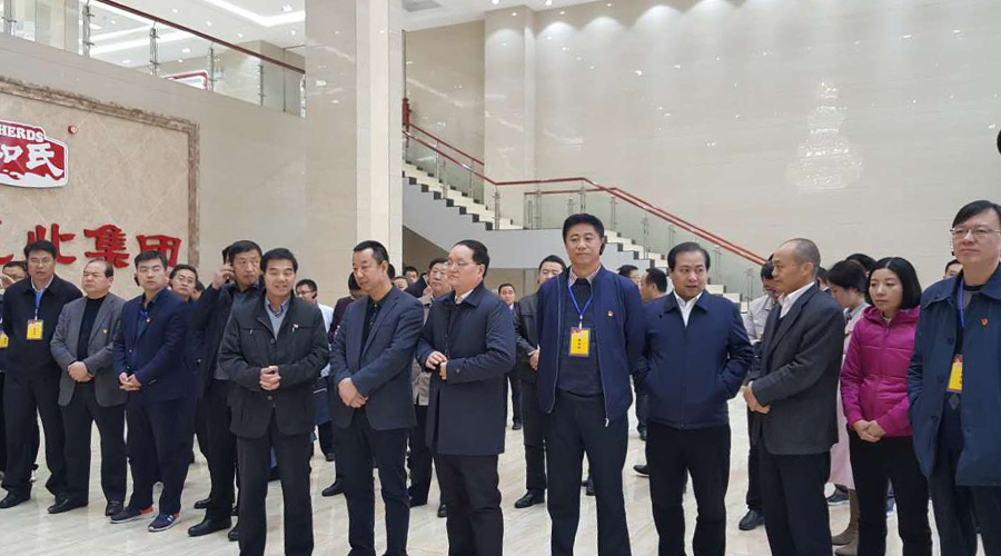 NG28南宫(中国)官方网站