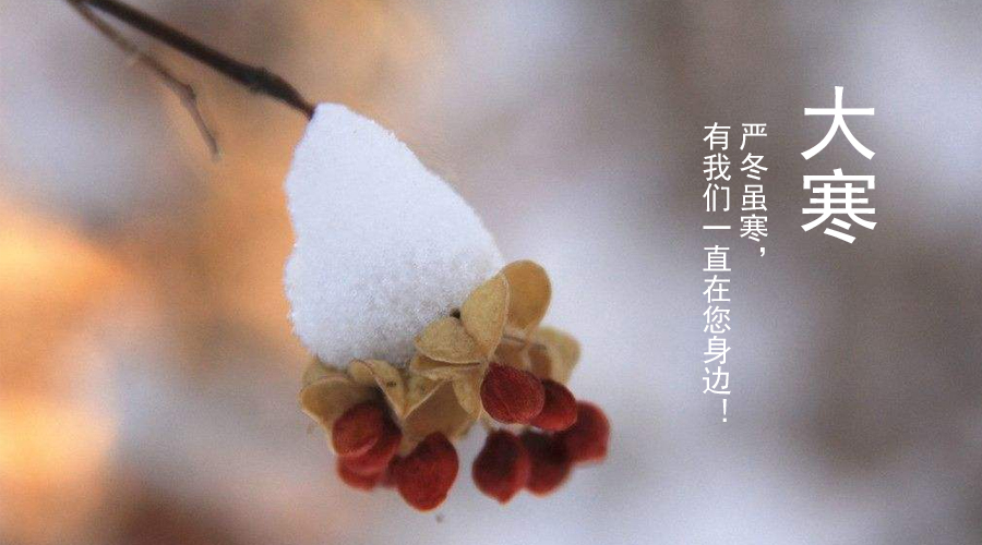 NG28南宫(中国)官方网站