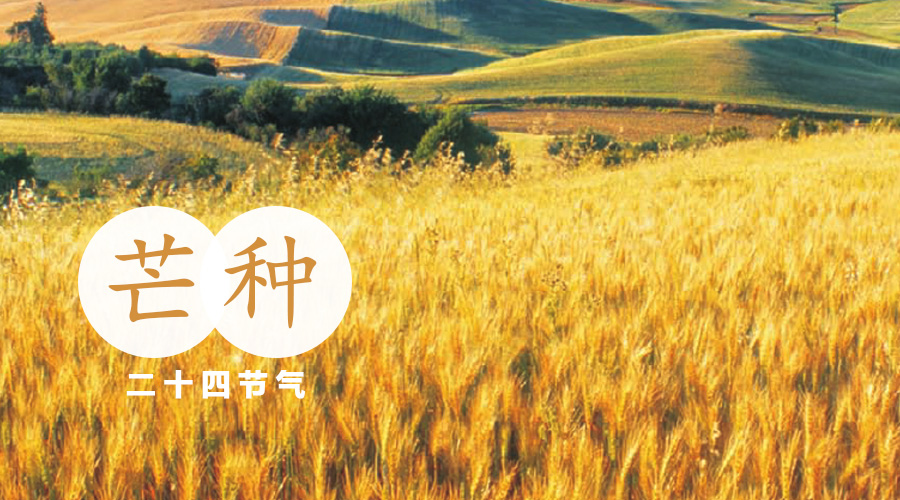 NG28南宫(中国)官方网站