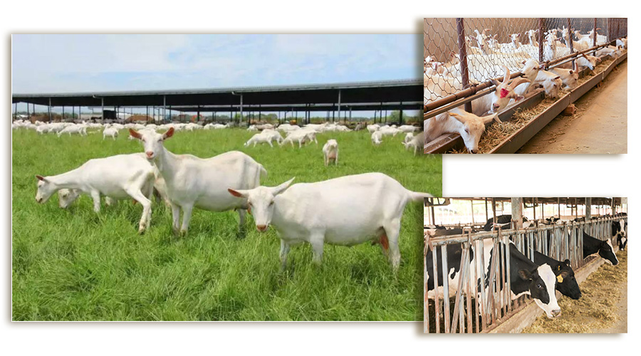 NG28南宫(中国)官方网站