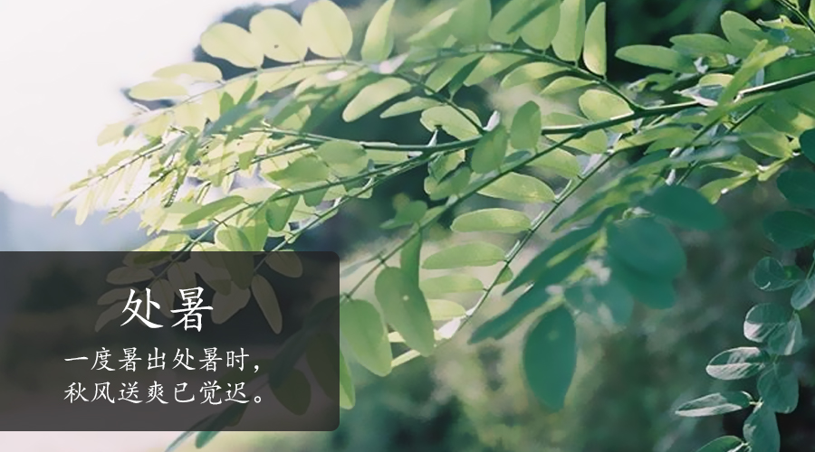 NG28南宫(中国)官方网站