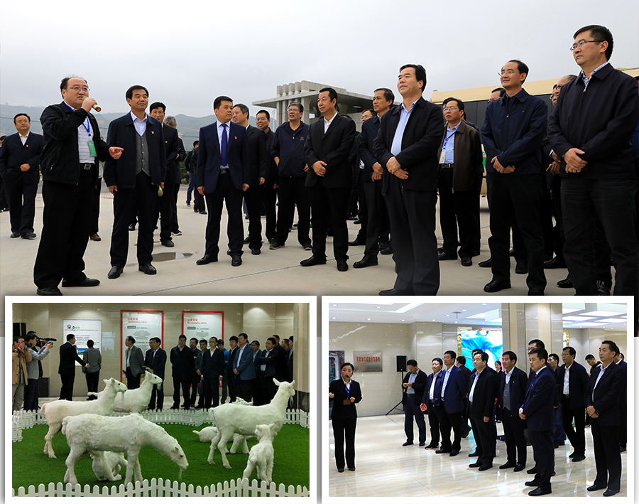 NG28南宫(中国)官方网站