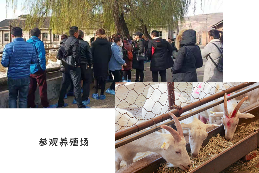 NG28南宫(中国)官方网站