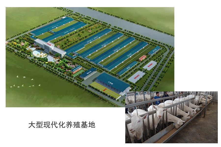 NG28南宫(中国)官方网站