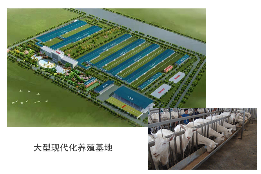 NG28南宫(中国)官方网站