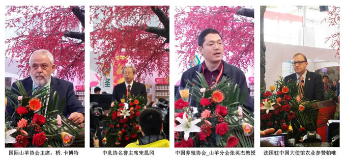 NG28南宫(中国)官方网站