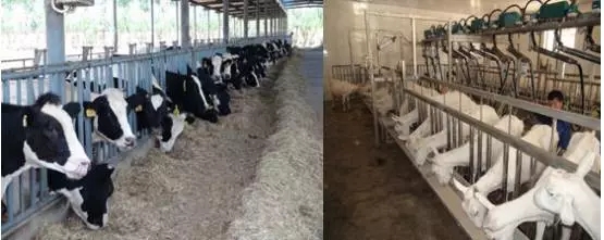 NG28南宫(中国)官方网站