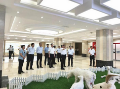 NG28南宫(中国)官方网站